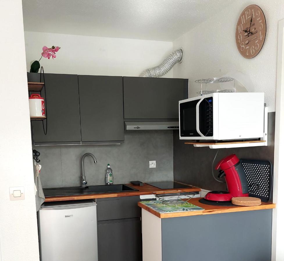 Bel Appartement Face Au Paleospace 滨海维莱 外观 照片